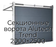 Секционные ворота Alutech Trend 2000×2500
