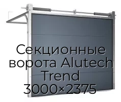 Секционные ворота Alutech Trend 3000×2375
