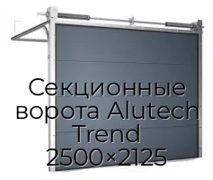 Секционные ворота Alutech Trend 2500×2125