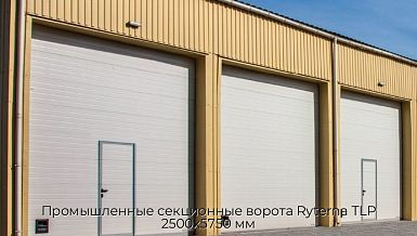 Промышленные секционные ворота Ryterna TLP 2500х5750 мм