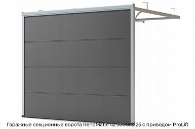 Гаражные секционные ворота RenoMatic 42 3000х2125 с приводом ProLift