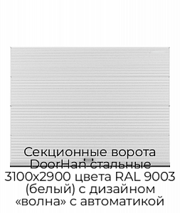 Секционные ворота DoorHan стальные 3100х2900 цвета RAL 9003 (белый) с дизайном «волна» с автоматикой preview 1