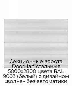 Секционные ворота DoorHan стальные 5000х2800 цвета RAL 9003 (белый) с дизайном «волна» без автоматики preview 1