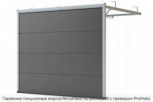 Гаражные секционные ворота RenoMatic 42 2500х2500 с приводом ProMatic preview 1