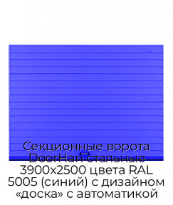 Секционные ворота DoorHan стальные 3900х2500 цвета RAL 5005 (синий) с дизайном «доска» с автоматикой