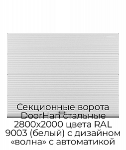 Секционные ворота DoorHan стальные 2800х2000 цвета RAL 9003 (белый) с дизайном «волна» с автоматикой preview 1