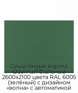 Секционные ворота DoorHan стальные 2600х2100 цвета RAL 6005 (зелёный) с дизайном «волна» с автоматикой preview 1