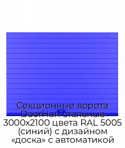 Секционные ворота DoorHan стальные 3000х2100 цвета RAL 5005 (синий) с дизайном «доска» с автоматикой preview 1