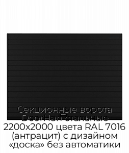 Секционные ворота DoorHan стальные 2200х2000 цвета RAL 7016 (антрацит) с дизайном «доска» без автоматики preview 1