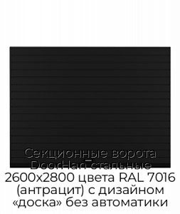 Секционные ворота DoorHan стальные 2600х2800 цвета RAL 7016 (антрацит) с дизайном «доска» без автоматики preview 1