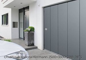Откатные ворота Hormann 2500×3500 СВВ-2875 preview 1