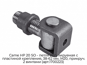 Петля регулируемая с пластиной крепления, 38-62 мм, М20, прикруч. 2 винтами (арт.1700223) Came HP 20 SO preview 1