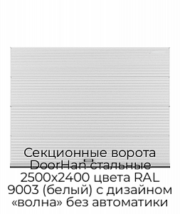 Секционные ворота DoorHan стальные 2500х2400 цвета RAL 9003 (белый) с дизайном «волна» без автоматики preview 1