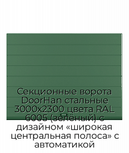 Секционные ворота DoorHan стальные 3000х2300 цвета RAL 6005 (зелёный) с дизайном «широкая центральная полоса» с автоматикой preview 1