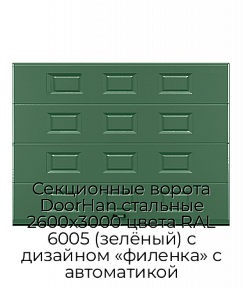 Секционные ворота DoorHan стальные 2600х3000 цвета RAL 6005 (зелёный) с дизайном «филенка» с автоматикой