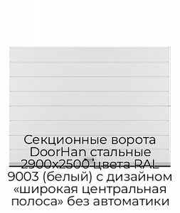 Секционные ворота DoorHan стальные 2900х2500 цвета RAL 9003 (белый) с дизайном «широкая центральная полоса» без автоматики preview 1