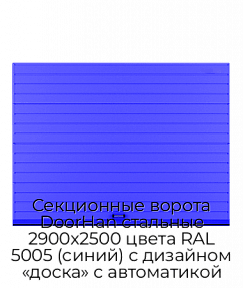 Секционные ворота DoorHan стальные 2900х2500 цвета RAL 5005 (синий) с дизайном «доска» с автоматикой