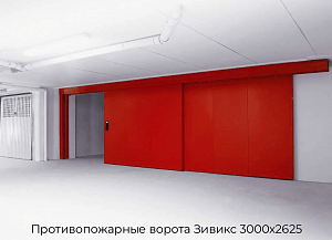 Противопожарные ворота Зивикс 3000х2625 preview 1