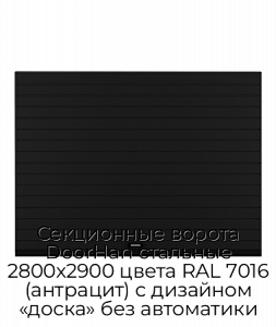 Секционные ворота DoorHan стальные 2800х2900 цвета RAL 7016 (антрацит) с дизайном «доска» без автоматики preview 1