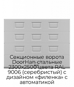 Секционные ворота DoorHan стальные 2300х2500 цвета RAL 9006 (серебристый) с дизайном «филенка» с автоматикой