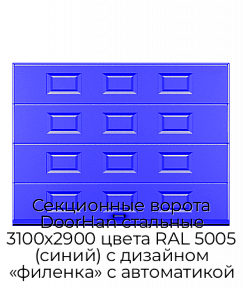 Секционные ворота DoorHan стальные 3100х2900 цвета RAL 5005 (синий) с дизайном «филенка» с автоматикой