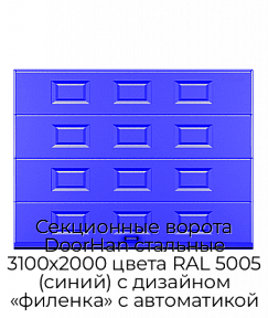 Секционные ворота DoorHan стальные 3100х2000 цвета RAL 5005 (синий) с дизайном «филенка» с автоматикой
