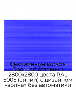 Секционные ворота DoorHan стальные 2800х2800 цвета RAL 5005 (синий) с дизайном «волна» без автоматики