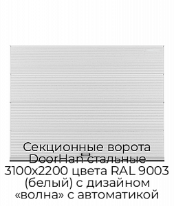 Секционные ворота DoorHan стальные 3100х2200 цвета RAL 9003 (белый) с дизайном «волна» с автоматикой preview 1