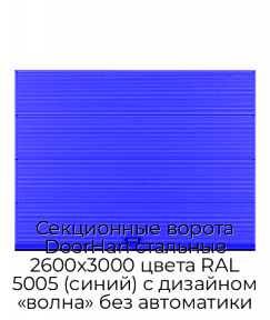 Секционные ворота DoorHan стальные 2600х3000 цвета RAL 5005 (синий) с дизайном «волна» без автоматики