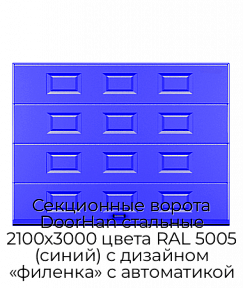 Секционные ворота DoorHan стальные 2100х3000 цвета RAL 5005 (синий) с дизайном «филенка» с автоматикой