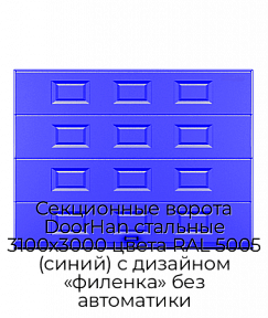 Секционные ворота DoorHan стальные 3100х3000 цвета RAL 5005 (синий) с дизайном «филенка» без автоматики