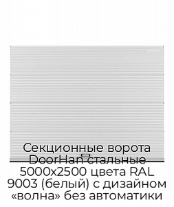 Секционные ворота DoorHan стальные 5000х2500 цвета RAL 9003 (белый) с дизайном «волна» без автоматики preview 1