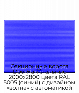Секционные ворота DoorHan стальные 2000х2800 цвета RAL 5005 (синий) с дизайном «волна» с автоматикой preview 1