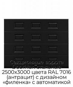 Секционные ворота DoorHan стальные 2500х3000 цвета RAL 7016 (антрацит) с дизайном «филенка» с автоматикой