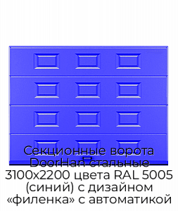 Секционные ворота DoorHan стальные 3100х2200 цвета RAL 5005 (синий) с дизайном «филенка» с автоматикой preview 1