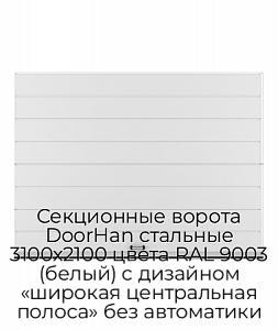 Секционные ворота DoorHan стальные 3100х2100 цвета RAL 9003 (белый) с дизайном «широкая центральная полоса» без автоматики preview 1