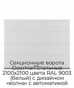 Секционные ворота DoorHan стальные 2100х2100 цвета RAL 9003 (белый) с дизайном «волна» с автоматикой preview 1