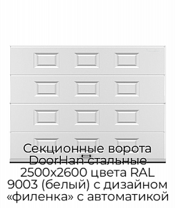 Секционные ворота DoorHan стальные 2500х2600 цвета RAL 9003 (белый) с дизайном «филенка» с автоматикой preview 1