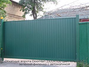 Откатные ворота DoorHan 2300х1100 цвет RAL 6005 зелёный филенка с автоматикой preview 1