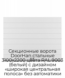 Секционные ворота DoorHan стальные 3100х2200 цвета RAL 9003 (белый) с дизайном «широкая центральная полоса» без автоматики preview 1