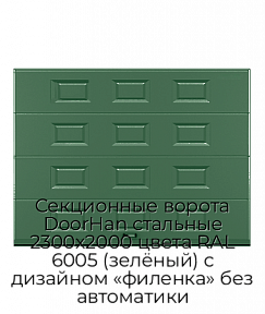 Секционные ворота DoorHan стальные 2300х2000 цвета RAL 6005 (зелёный) с дизайном «филенка» без автоматики