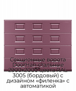 Секционные ворота DoorHan стальные 2900х2000 цвета RAL 3005 (бордовый) с дизайном «филенка» с автоматикой preview 1