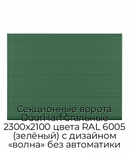 Секционные ворота DoorHan стальные 2300х2100 цвета RAL 6005 (зелёный) с дизайном «волна» без автоматики preview 1