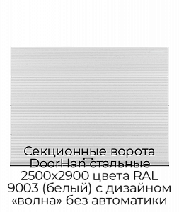Секционные ворота DoorHan стальные 2500х2900 цвета RAL 9003 (белый) с дизайном «волна» без автоматики preview 1