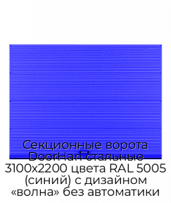 Секционные ворота DoorHan стальные 3100х2200 цвета RAL 5005 (синий) с дизайном «волна» без автоматики