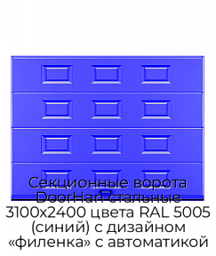 Секционные ворота DoorHan стальные 3100х2400 цвета RAL 5005 (синий) с дизайном «филенка» с автоматикой