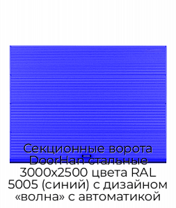 Секционные ворота DoorHan стальные 3000х2500 цвета RAL 5005 (синий) с дизайном «волна» с автоматикой preview 1