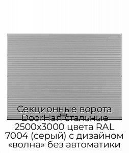 Секционные ворота DoorHan стальные 2500х3000 цвета RAL 7004 (серый) с дизайном «волна» без автоматики preview 1