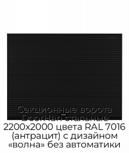 Секционные ворота DoorHan стальные 2200х2000 цвета RAL 7016 (антрацит) с дизайном «волна» без автоматики preview 1