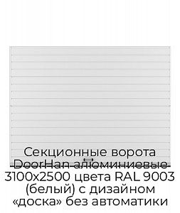 Секционные ворота DoorHan алюминиевые 3100х2500 цвета RAL 9003 (белый) с дизайном «доска» без автоматики preview 1